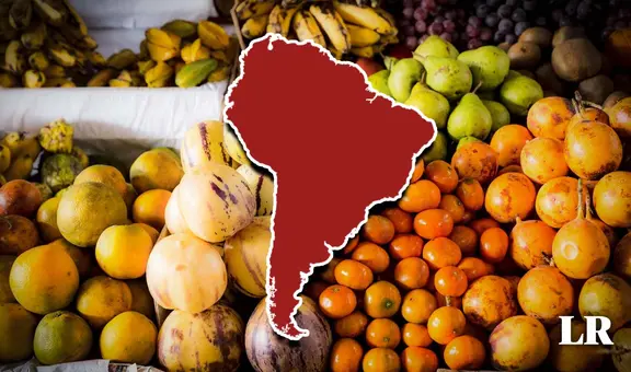 Conoce la fruta producida en Sudamérica cuya demanda en Países Bajos y EE.UU. se disparó un 448%