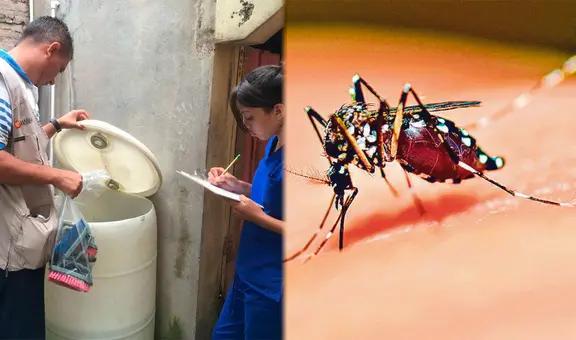 Dengue en Colombia: Instituto Nacional de Salud alertó por más de 55.000 casos durante el 2024