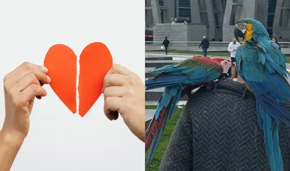 Hombre descubre infidelidad de su esposa por frase que sus loros repetían: caso es viral