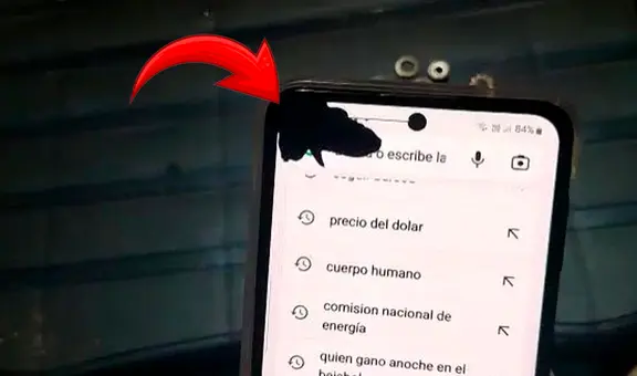 ¿Por qué salen manchas negras en la pantalla cuando un teléfono sufre una caída?