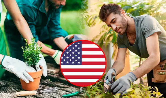 La cantidad de dinero que puede ganar un jardinero en Estados Unidos supera algunos sueldos mínimos