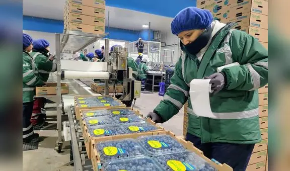 Agroexportaciones sumaron US$1.862 millones en el primer bimestre del año 2024