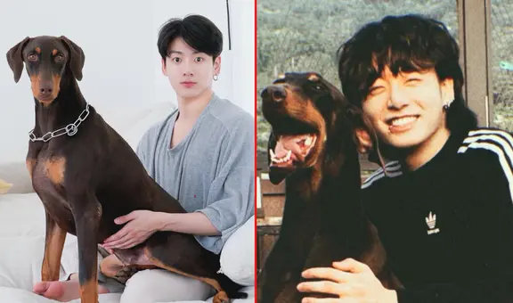 Jungkook de BTS crea cuenta de Instagram para su mascota Bam y consigue 2 millones de seguidores