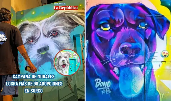 Iniciativa de ONG Buena causa logró más de 90 adopciones de mascotas en Surco con campaña de murales