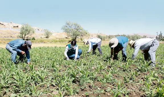 PBI creció 2,85% en febrero, su mejor resultado en casi dos años