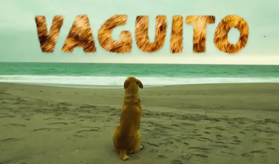 ‘Vaguito’: estreno, reparto y todo sobre el filme inspirado en el 'Hachiko peruano'