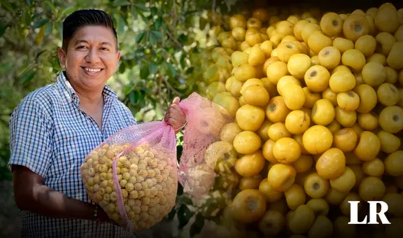 La maravillosa fruta con alta dosis de colágeno: evita el envejecimiento prematuro y desaparece las arrugas
