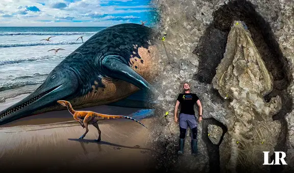 Descubren fósil del reptil marino más grande del mundo en Inglaterra gracias a niña de 11 años