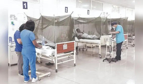 Dengue: cifra de muertos se eleva a 146 y casos a 155.000 a nivel nacional