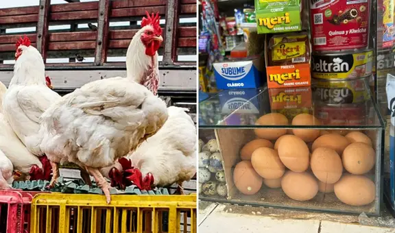 Precio del pollo baja, pero aumenta el costo del huevo: ¿cuánto está el kilo?