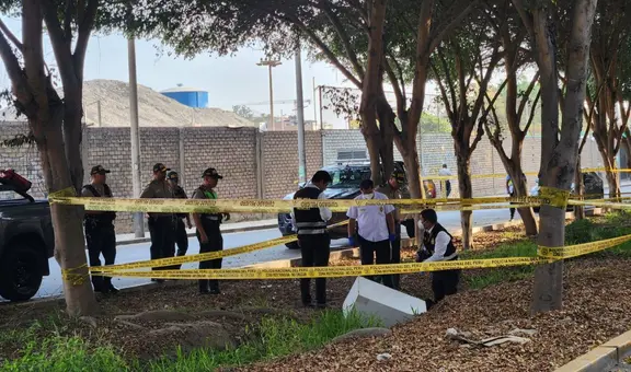 Santa Anita: hallan cuerpo de mujer asesinada cerca de zona industrial