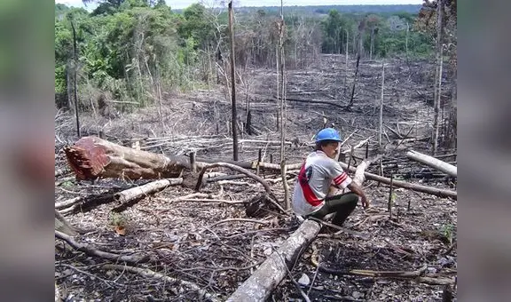 El 90% de las actividades económicas en la Amazonía son ilegales