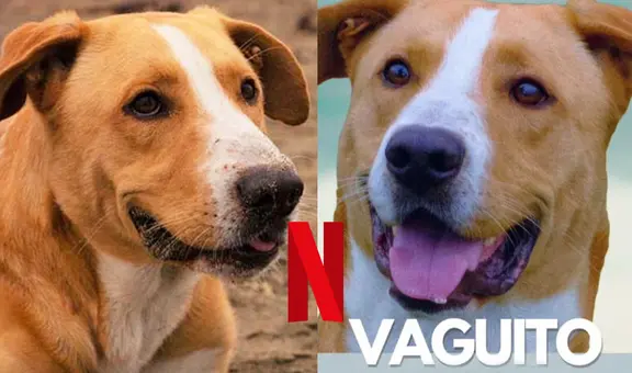 ¿'Vaguito' en Netflix? Importante plataforma de streaming quiere estrenar la película peruana