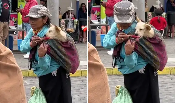 Mujer enternece las redes al cargar a su perrito en una manta: "Amor incondicional"