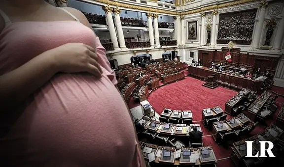 Congreso analiza adopción desde el vientre en casos de embarazos ‘no planeados’ ¿Proyecto de ley es viable?