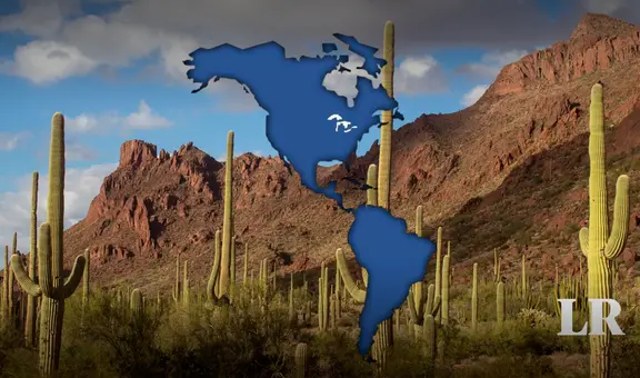 Conoce el desierto más grande de Norteamérica: es el hogar de 333 especies de aves