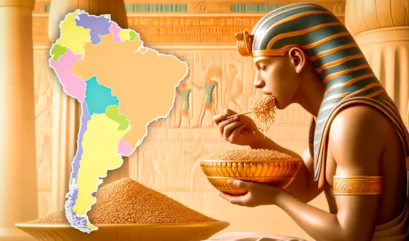 El cereal más antiguo del mundo, el favorito de los faraones, es cultivado en 6 de países de Sudamérica