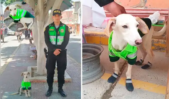 Sultán, el perrito que dejó de ser un ‘vaguito’ para convertirse en miembro de la PNP de Catacaos