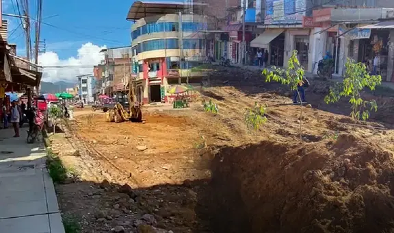 Junín: siembran yucas y plátanos en plena vía pública como protesta por obras inconclusas en Satipo