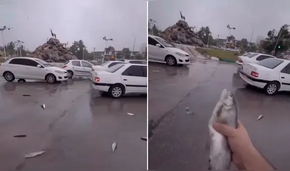 Así fue la increíble ‘lluvia’ de peces que cayó sobre Irán: ¿a qué se debe este inusual fenómeno?
