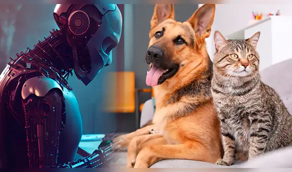 Así lucirían los perros y gatos en el año 2050, según la IA: algunos tendrían extremidades robóticas