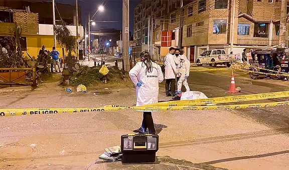 ONU: inseguridad ciudadana y falta de acceso a salud persisten en Perú