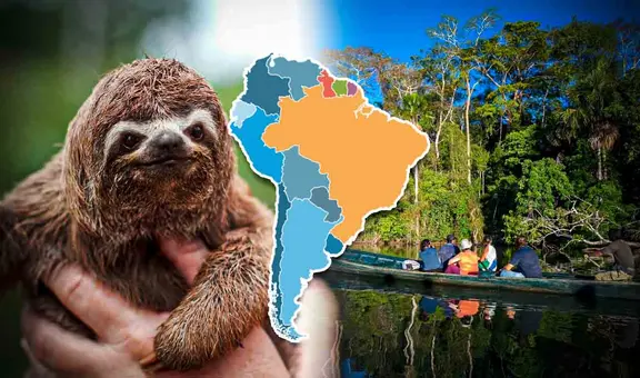 Explora los 5 países con mayor biodiversidad en Sudamérica y el mundo