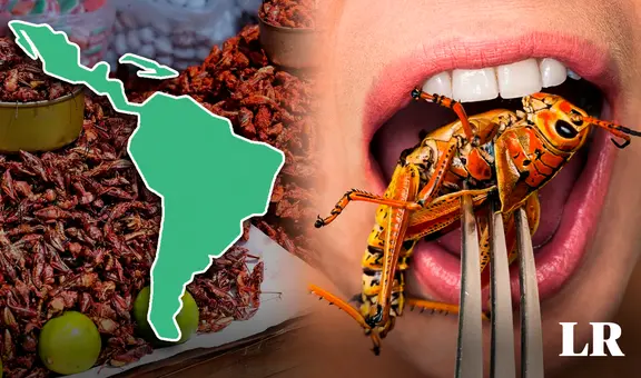 Uno de los países que consume más insectos en el mundo está en Latinoamérica: comen gusanos, moscos y hormigas