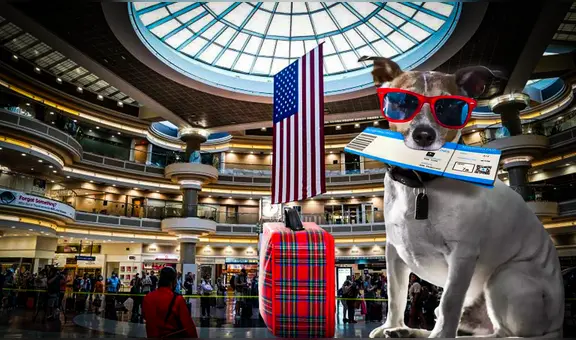Conoce las nuevas restricciones para llevar un perro a Estados Unidos desde agosto de 2024