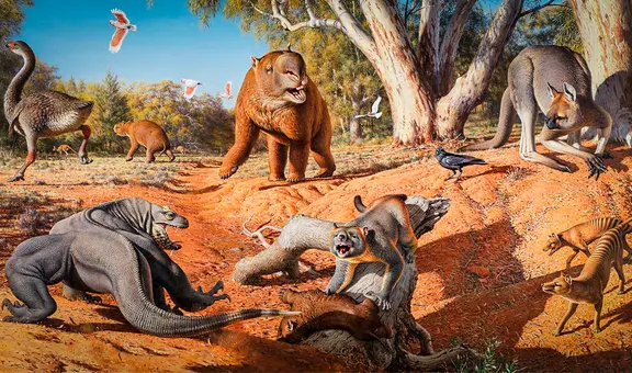 Este animal es más antiguo que los dinosaurios y sigue vivo: es terrorífico y habita en Latinoamérica