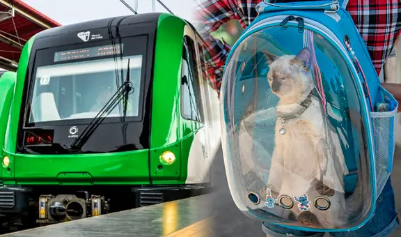 ATU: mascotas podrán ser transportadas en buses y trenes de Metropolitano, Línea 1 y corredores