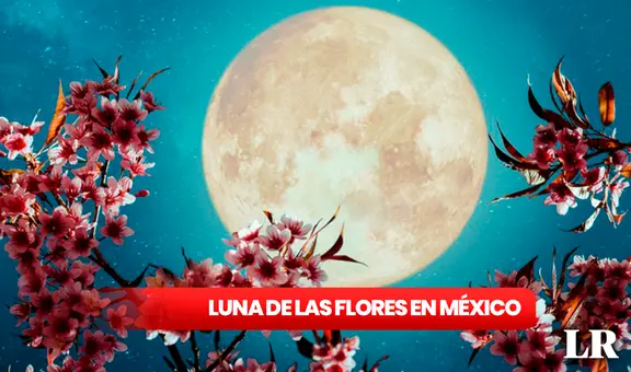 Esta es la hora exacta en que la LUNA DE LAS FLORES llegará a su punto más brillante en México
