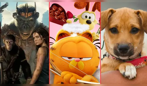 'El planeta de los simios' y 'Garfield: fuera de casa' SUPERAN a 'Vaguito', película nacional, en taquilla