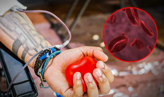 Científicos se encaminan a una posible forma de que la donación de sangre sea universal