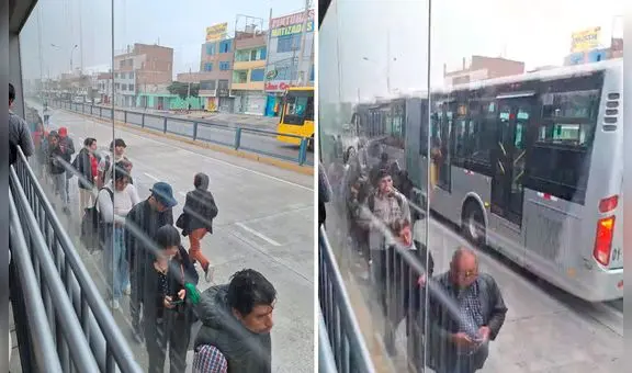 Metropolitano: nueva estación Los Incas colapsa y usuarios arriesgan su vida haciendo cola en la pista
