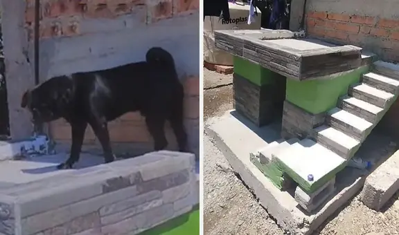 Dueña construyó minivivienda para su perrito y usuarios dicen: “Firulays con casa propia”