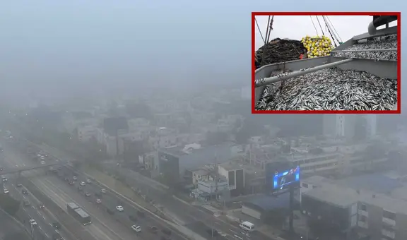 El intenso ‘olor a pescado’ en Lima, la segunda ciudad con peor calidad de aire en Sudamérica