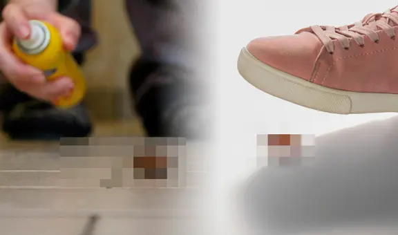 El insecto más difícil de matar vive en tu casa: soporta 900 veces su peso y sobrevive varios días sin cabeza