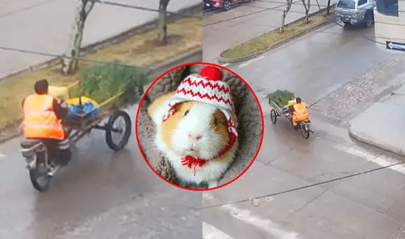 Vendedor de alfalfa en Perú sorprende con creativo sonido para llamar a sus clientes: “Ingenio peruano”