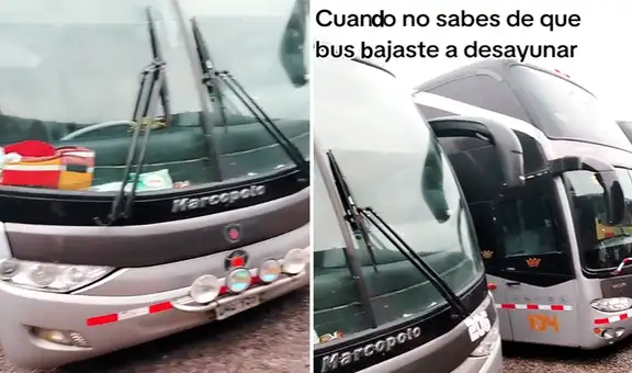Pasajero baja de bus para desayunar y al regresar no sabe a cuál subir tras ver todos idénticos