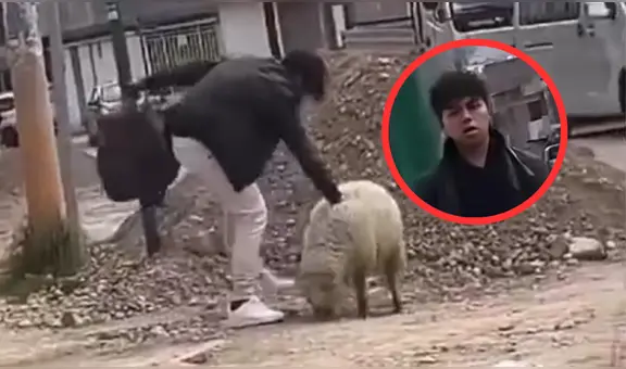 Joven mata a oveja y justifica el acto como un “mal día”: vecinos piden condena por maltrato animal