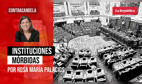 Instituciones mórbidas, Rosa María Palacios