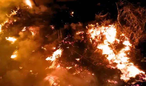 Ate: reportan incendio de grandes proporciones en fábrica papelera