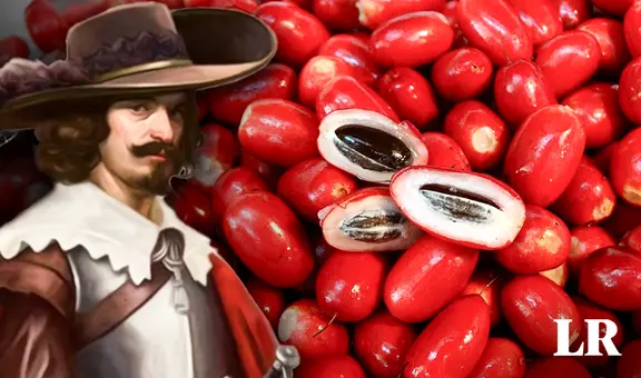 La 'fruta milagrosa' que convierte los sabores ácidos en dulces, descubierta por europeos en la época colonial