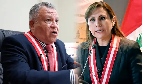 Juan Carlos Checkley sobre Patricia Benavides: "No la conozco, salvo cuando la veo aquí en audiencia"