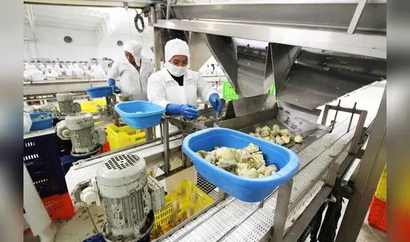 Exportaciones agropecuarias siguen a tope: aumentaron 10,8% en el primer trimestre