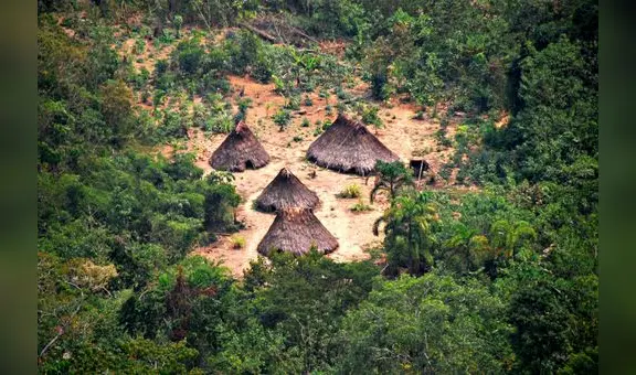 Crean nueva reserva Sierra del Divisor Occidental entre Loreto y Ucayali