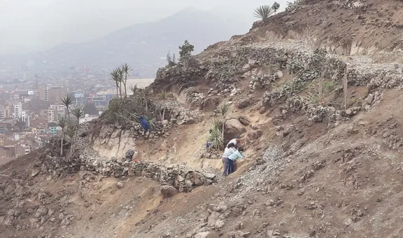 SMP: el sueño de convertir un cerro árido y rocoso en un ‘balcón verde’