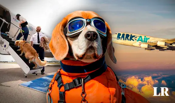 ¡Viaja con tu mascota! Conoce la primera aerolínea pet-friendly del mundo