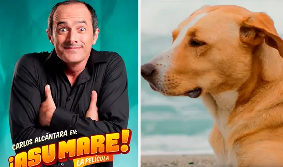 No es ‘Asu mare 1’ ni ‘Vaguito’: está es la película peruana más taquillera de toda la historia